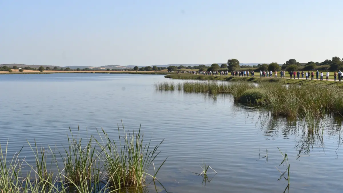 Image générique d'un étang côtier en Occitanie, avec des roseaux au premier plan et le ciel se reflétant sur l'eau calme.